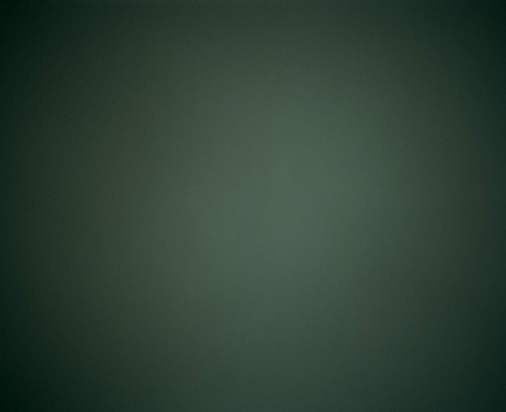 michael-schnabel-gruen michael-schnabel-gruen