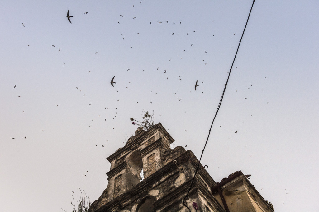 Jan_Windszus_17_31_Griechenland_70,50 x 106_Perzeptiv