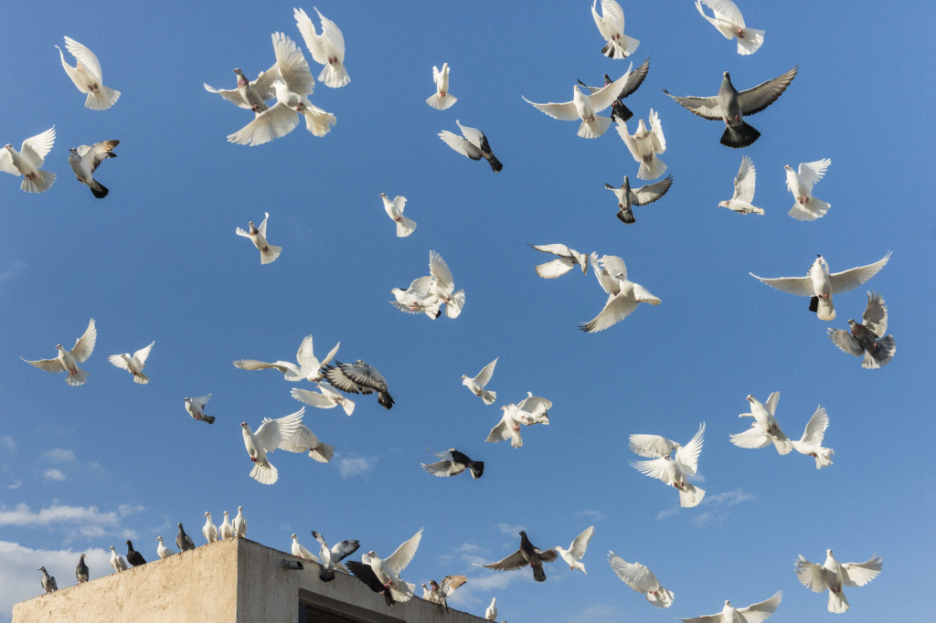 Jan_Windszus_21_04_Griechenland_52 x 34,61_Relativ