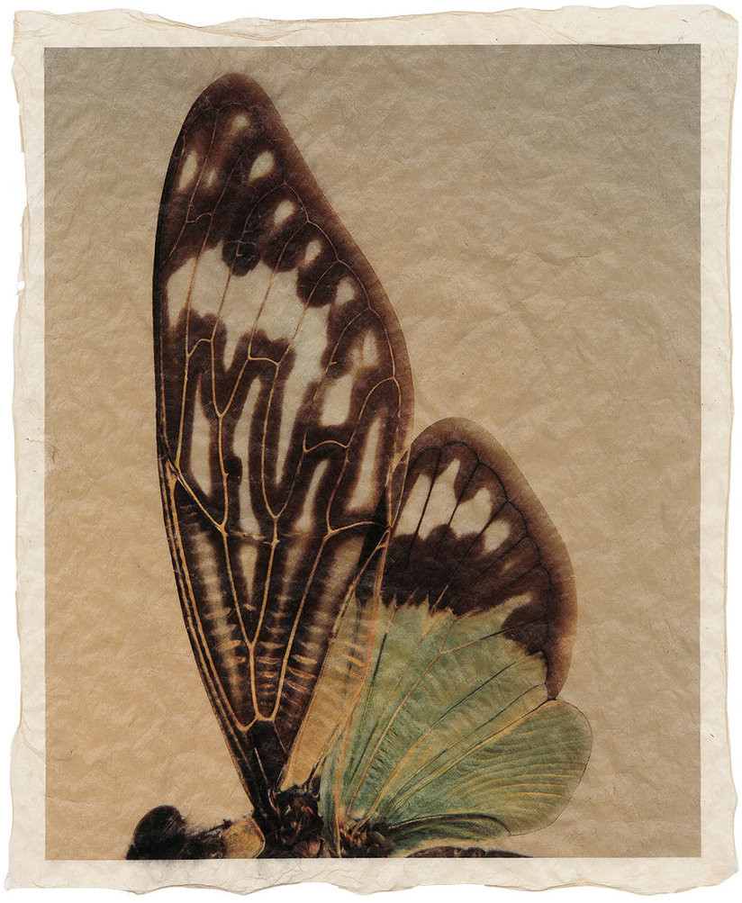 GT_F_352_10 GT_F_352_10