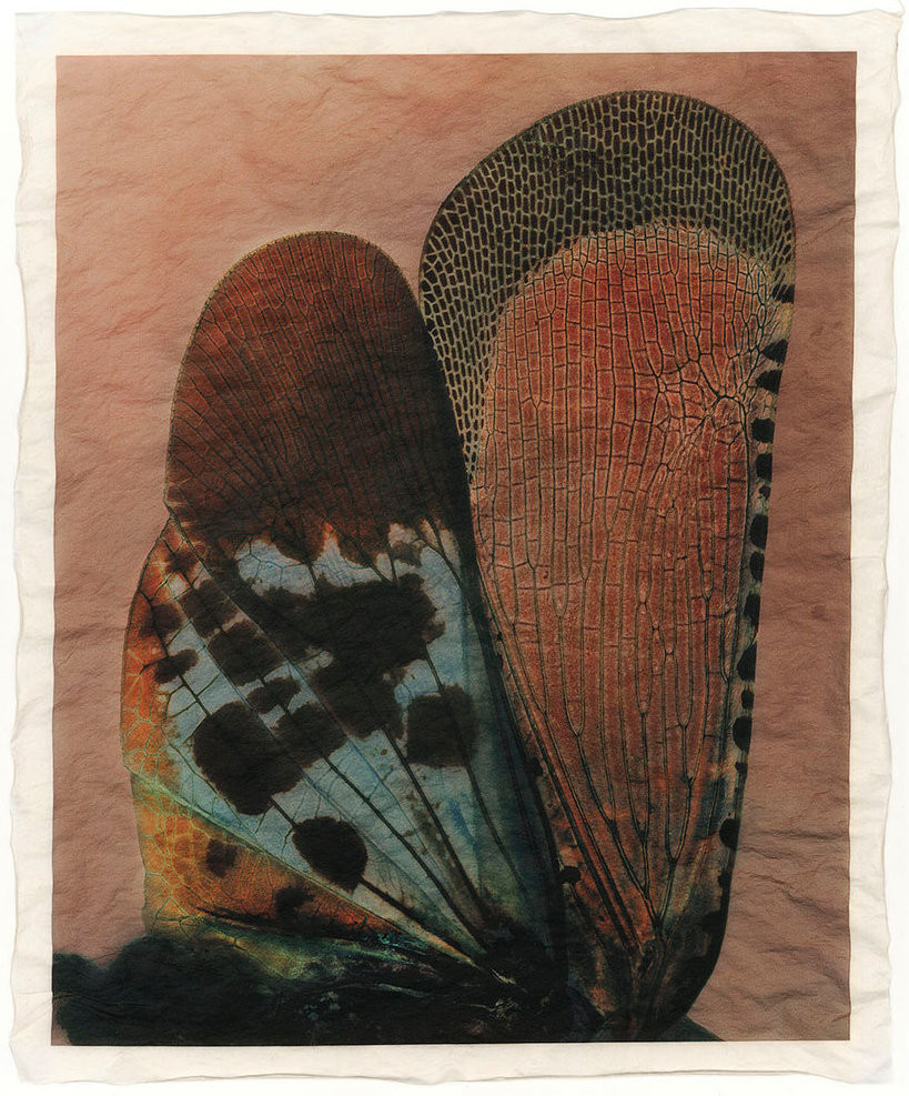 GT_F_353_11 GT_F_353_11