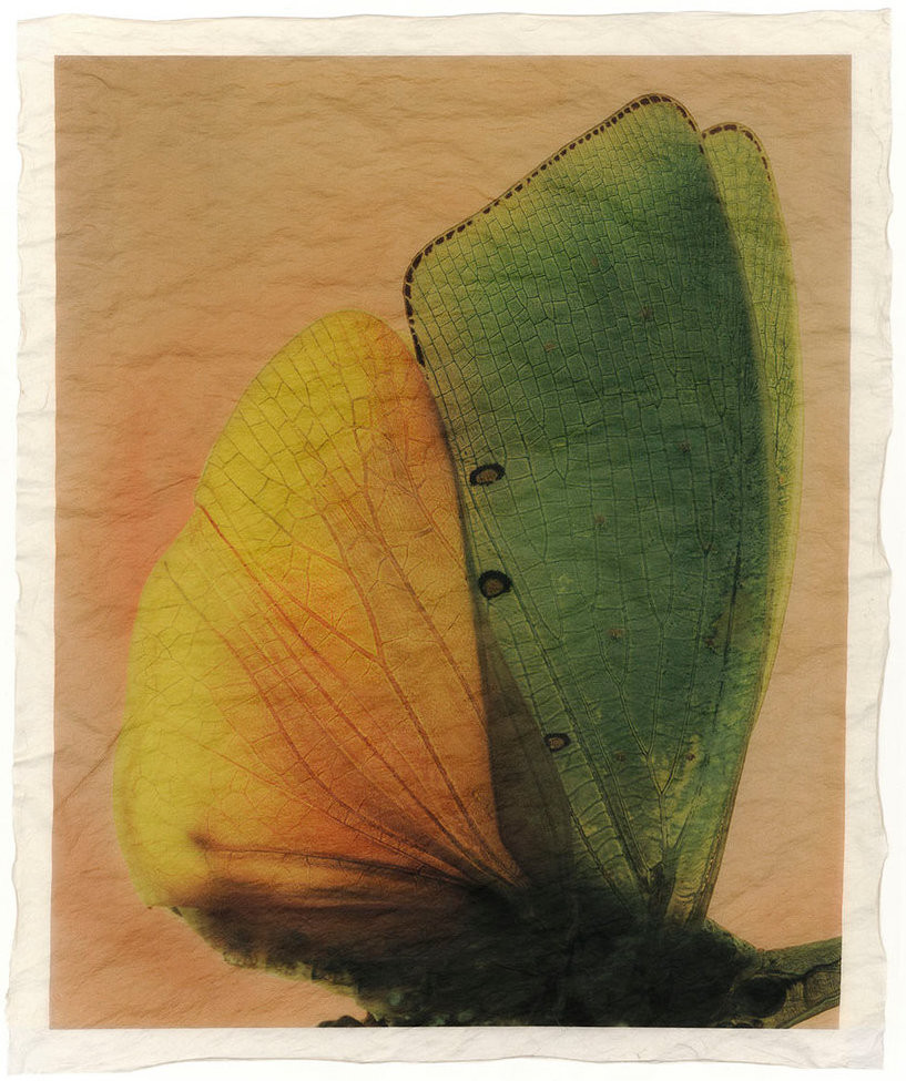 GT_F_354_12 GT_F_354_12