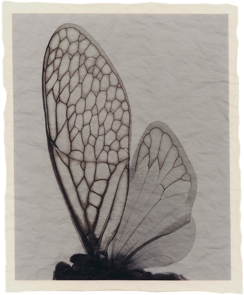 GT_F_358_13 GT_F_358_13