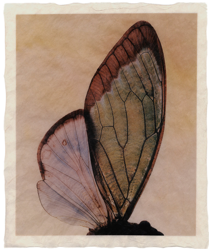 GT_F_359_14 GT_F_359_14