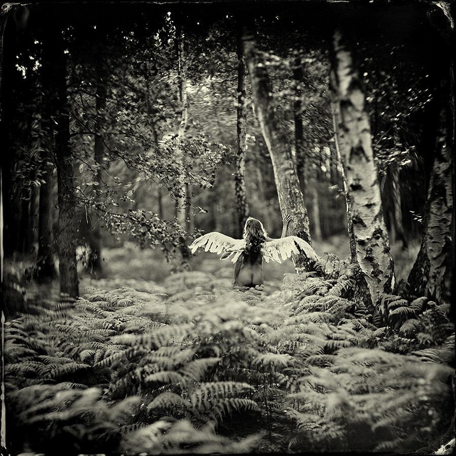 Lost in Paradise Lost in Paradise