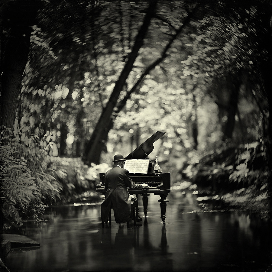 Rhapsody in Black Rhapsody in Black