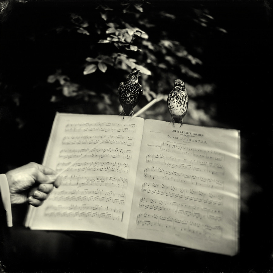 zwei leichte sonaten zwei leichte sonaten