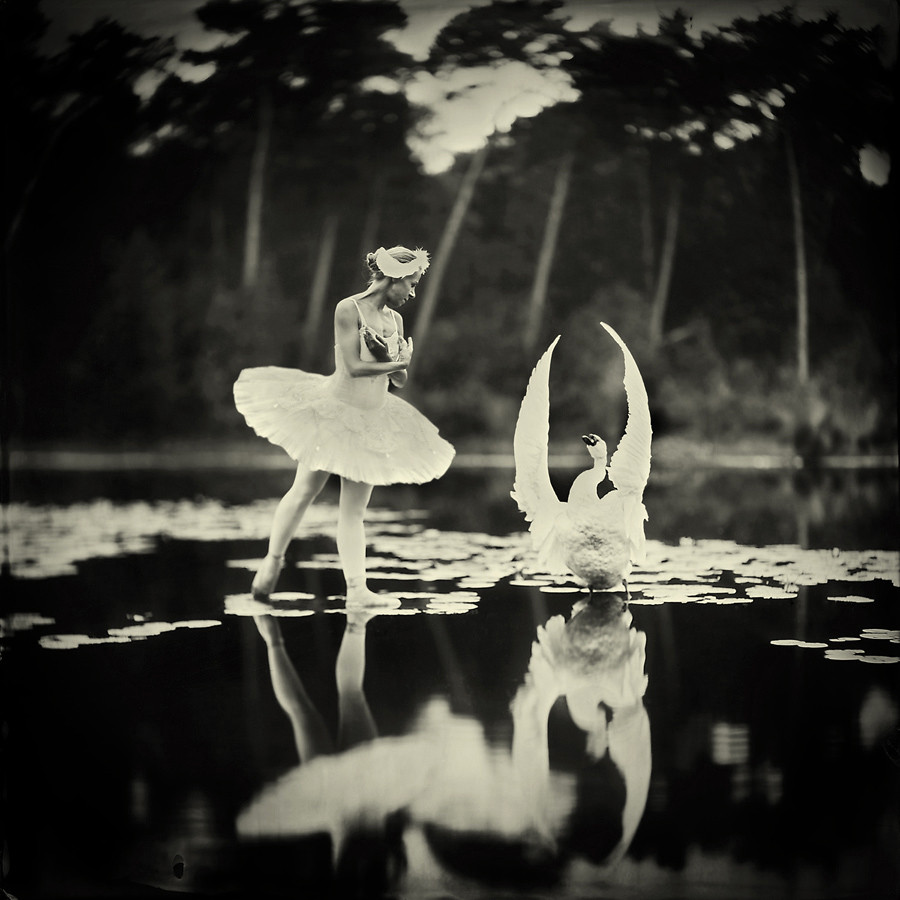 Swan Lake Swan Lake