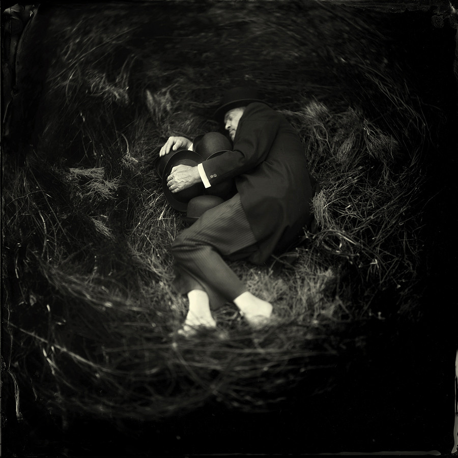 The Cuckoo's nest The Cuckoo's nest