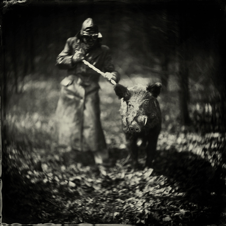 The Truffle Seeker The Truffle Seeker