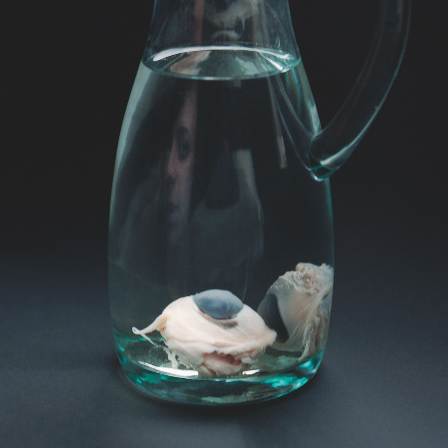 beba-lindhorst-VIPs-tim-maelzer beba-lindhorst-VIPs-tim-maelzer