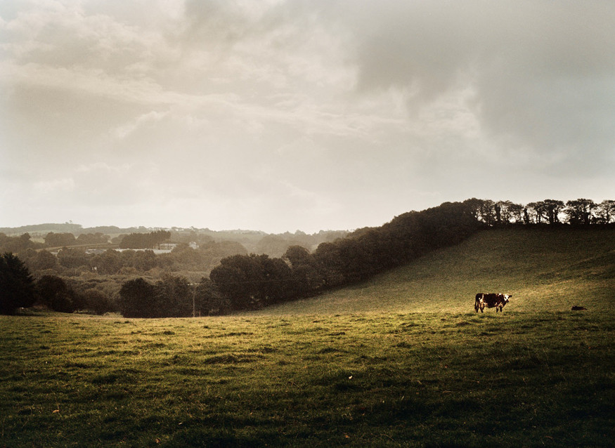 mathias-bothor-mare-bretagne-49 mathias-bothor-mare-bretagne-49