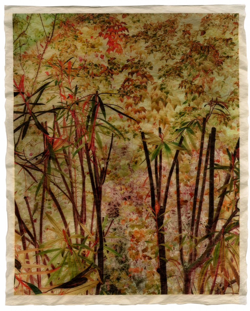 autumn 1_Commeter_GT_F_465.003 autumn 1_Commeter_GT_F_465.003