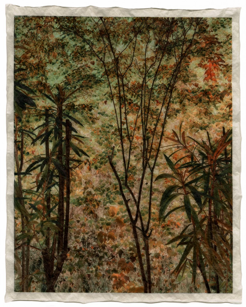 autumn 2_Commeter_GT_F_466.003 autumn 2_Commeter_GT_F_466.003