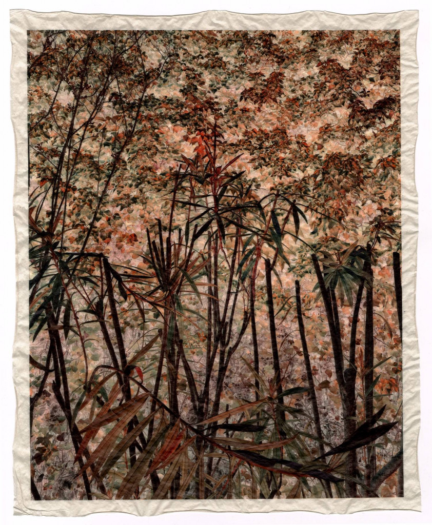 a la coul_autumn 3_Commeter_GT_F_467.003 a la coul_autumn 3_Commeter_GT_F_467.003